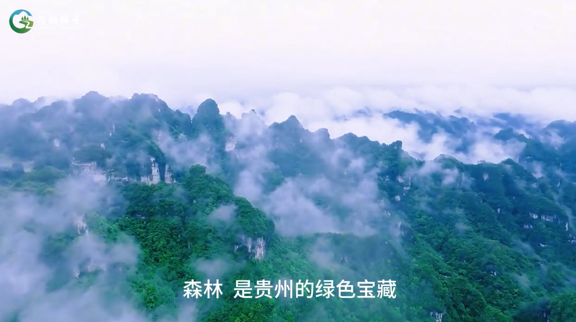 森林防火，人人有責(zé)